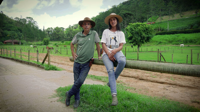 Haras Pelajo